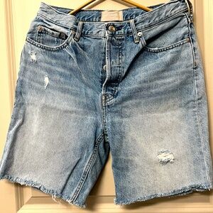 Everlane cheeky long shorts